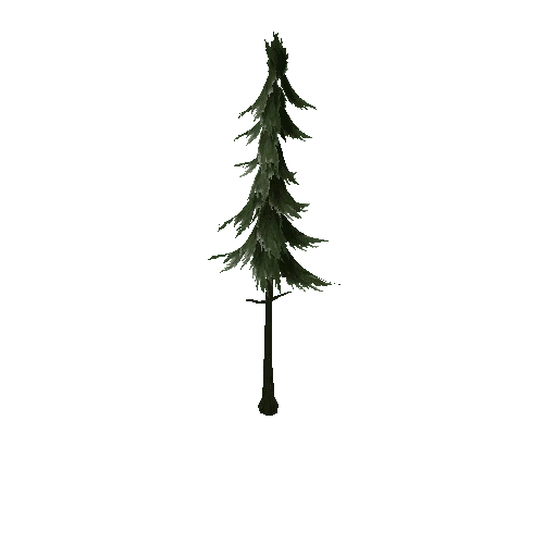 Redwood 3